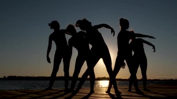 Silhueta de mulheres grupo juntos fazendo exercício de alongamento, esporte de aptidão corporal — Vídeo de Stock