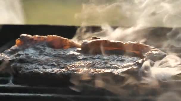 Torneando sabrosas piezas de carne asando hierbas, cocinando deliciosa carne asada comida — Vídeos de Stock