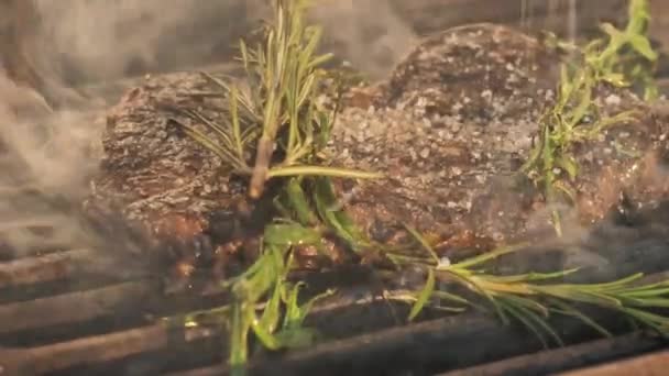 Cottura succosa deliziosa bistecca di carne, cibo barbecue, erbe aromatiche una ricetta griglia — Video Stock