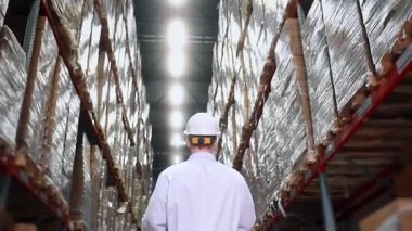 Otomatik bir deponun parlak koridorunda yürüyen bir işçinin arka görüntüsü. Lojistik konsepti, kargo taşımacılığı, tedarik zinciri ve dağıtım merkezinin verimli çalışması