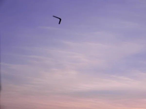 New boomerang in flight against of pure white clouds and blue sky.