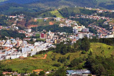 Kahve ve okaliptüs ekimi, bölgesel tarım. Şehir yakınlarında çiftçilik.