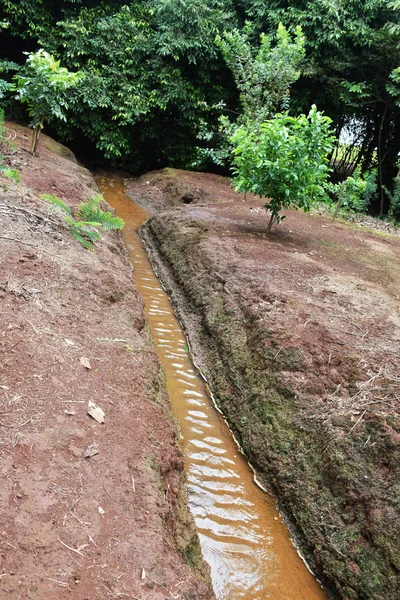 Preservation of small river in rural property. River spring in Brazil. Forest around the river. Area environmental preservation