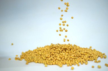 Beyaz arka planda soya fasulyesi yığını hakkında görünüm