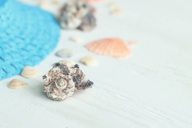 Hasır şapka ve kabukları üzerinde metin için yer ile ahşap background.photo