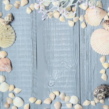 metin için güzel deniz kabuklarını .copy yer ile mavi ahşap arka plan