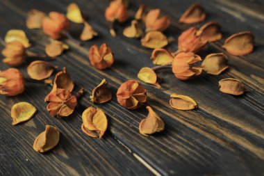 çerçeve metin ve hibiscus kurutulmuş çiçekler için