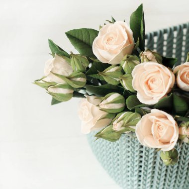 güzel çiçek aranjmanı. açık renkli izole