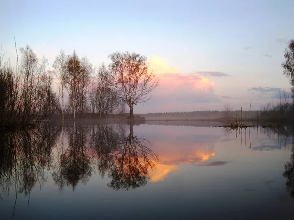 Lago de outono nebuloso na aldeia ao pôr-do-sol — Fotografia de Stock