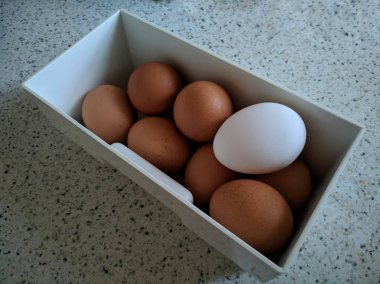 kahverengi ve beyaz yumurta bir kutu içinde