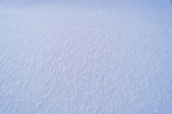 Texture homogène de neige et de neige par une journée ensoleillée — Photo