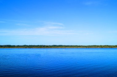 Yazın nehir manzarası. 