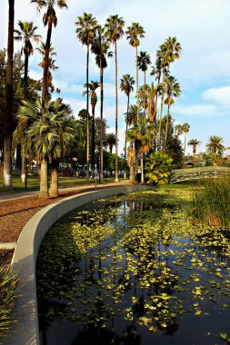 Los Angeles, Kaliforniya 'daki Echo Park gölündeki bir adaya köprü.