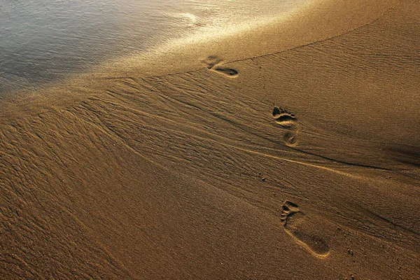 Πατημασιές Στην Άμμο Δίπλα Στον Ωκεανό Ίχνη Που Οδηγούν Στον — Φωτογραφία Αρχείου