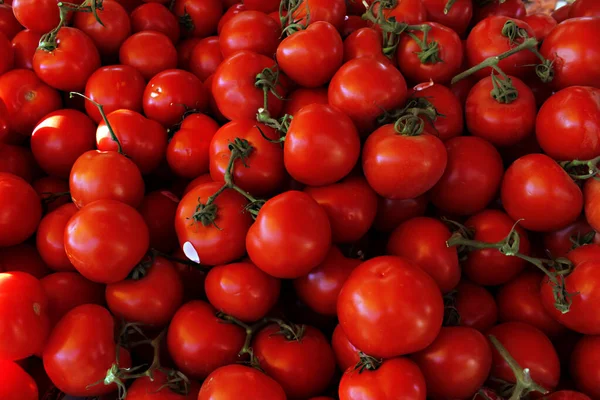 Market tezgahında olgun kırmızı domatesler. Dükkandaki yeşil dallarda domatesler. Taze domates deseni.