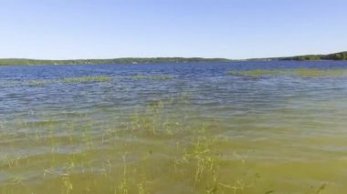 Havadan görünüm - sazlıkile gölün üzerinde kalkış