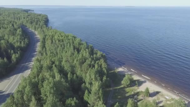 Aerial Scenic Sida Flygning Över Motorvägen Och Forest Lake Omättade — Stockvideo