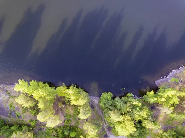 Vista Aérea Lagoa Selvagem Floresta Dia Verão — Fotografia de Stock