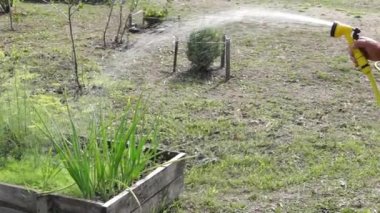 Sebze yama hortum sulama ile sulama
