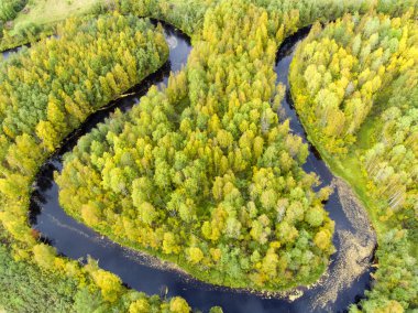 Vahşi ormanda Nehri'nin havadan görünümü virajlı
