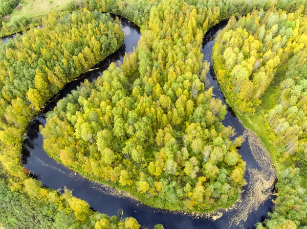 Vista Aérea Curvas Rio Floresta Selvagem — Fotografia de Stock