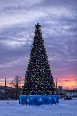 Şehir Noel ağacı şehir meydanında giyinip