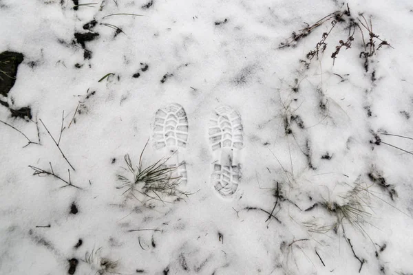 冬の森の雪の上の足跡 — ストック写真