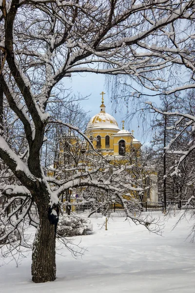 Orthodox Cathedral Snowy Trees Winter — Stock Photo, Image