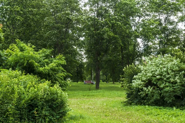 Ławce Przytulnym Głębi Parku Zielona Letnia — Zdjęcie stockowe