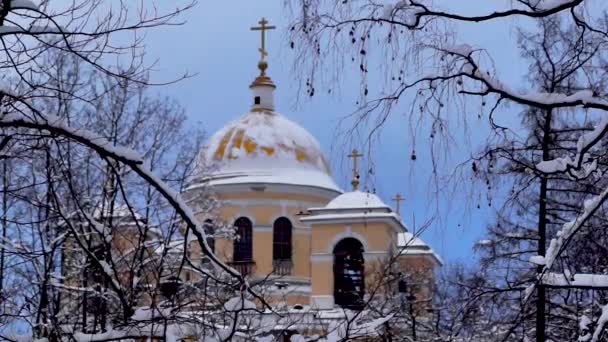 Увеличение Масштаба Православного Собора Снежных Деревьев Зимой — стоковое видео