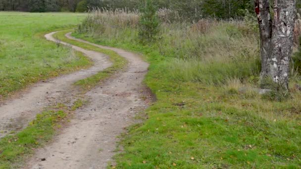 Camino Ruso Tierra Sobre Naturaleza Día Ventoso Otoñal — Vídeo de stock