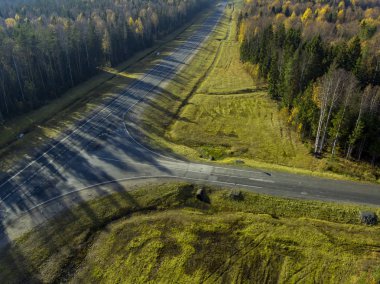 Asfalt yol çam ormanı havadan görünümü seyahat için