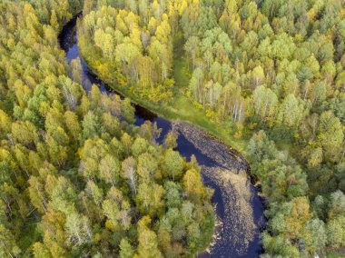 Orman ve nehir sonbaharda hava Panoraması