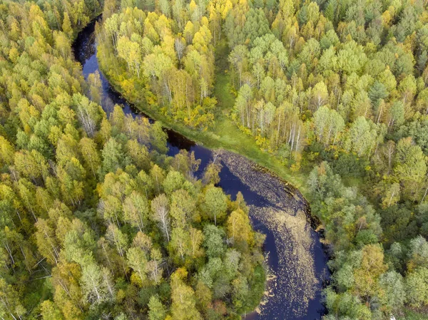 Panorama Udara Hutan Dan Sungai Musim Gugur — Stok Foto