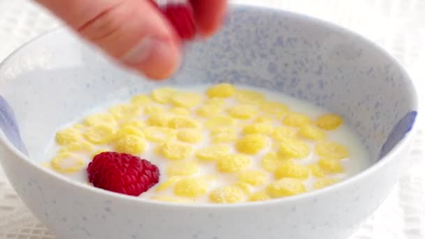 Hinzufügen Von Beeren Schüssel Mit Cornflakes Milch Und Frühstück Ist — Stockvideo