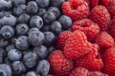 Sulu Bahçe Ahududu ve yaban mersini arka plan