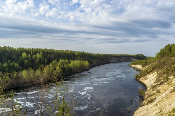 Wild Landscape River Pine Forest — Stock Photo, Image