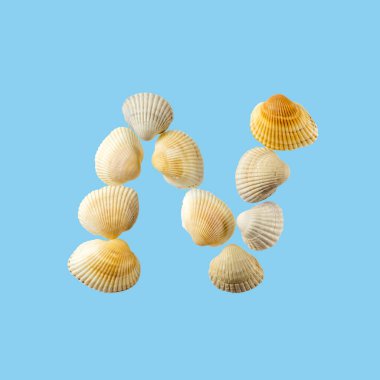 Deniz kabuklarından oluşan ve yumuşak mavi arka plan üzerine izole edilmiş 