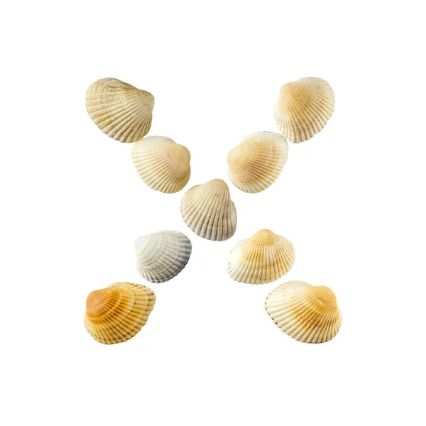 Letter Composed Seashells Isolated White Background — Stock Photo, Image