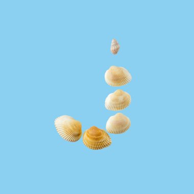 Deniz kabuklarından oluşan ve yumuşak mavi arka plan üzerine izole edilmiş 