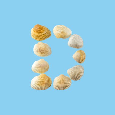 Deniz kabuklarından oluşan ve yumuşak mavi arka plan üzerine izole edilmiş 