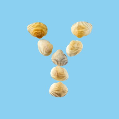 Deniz kabuklarından oluşan ve yumuşak mavi arka plan üzerine izole edilmiş 