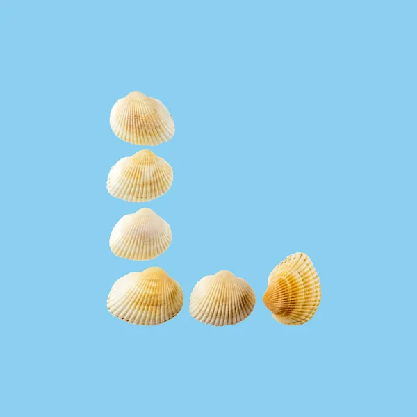 Letter Composed Seashells Isolated Gentle Blue Background — Stock Photo, Image