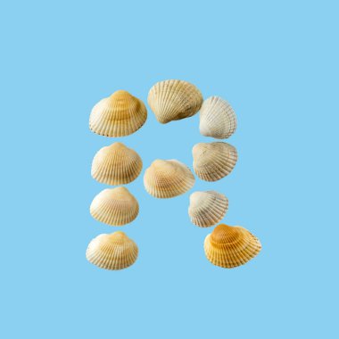 Deniz kabuklarından oluşan ve yumuşak mavi arka plan üzerine izole edilmiş 