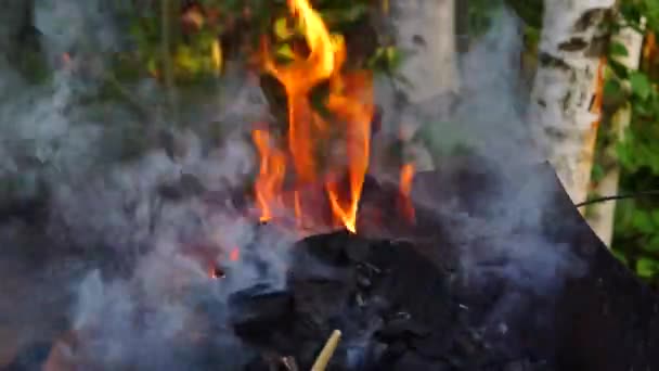 Fogo Está Queimando Grelha Para Fritar Kebab Livre — Vídeo de Stock