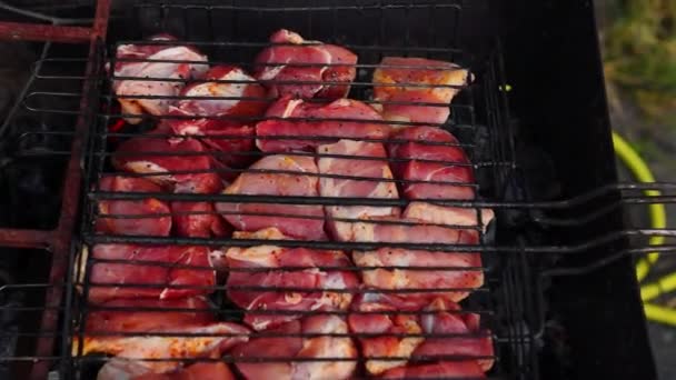 Saftige Stücke Schweinefleisch Beginnen Auf Holzkohlegrill Braten — Stockvideo