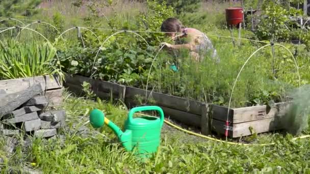 Seniorin Gärtnert Garten Ferienhaus — Stockvideo