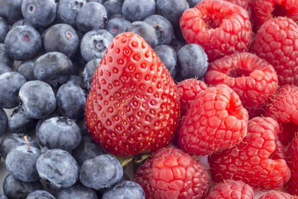 Ripe Strawberries Blueberries Raspberries Background — Stock Photo, Image