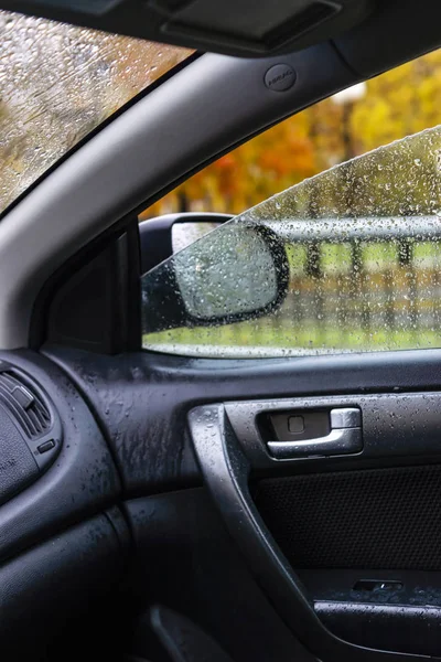 Araba Penceresinden Yağmurlu Bir Günde Sonbahar Parkı Dikey Görüntü — Stok fotoğraf