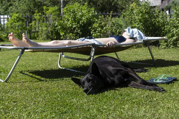 무더운 여름날 일광욕을 소녀가 침상의 잔디밭에 다음에는 목자가 — 스톡 사진